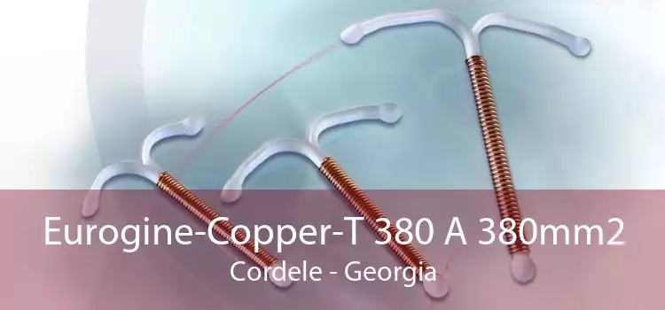 Eurogine-Copper-T 380 A 380mm2 Cordele - Georgia