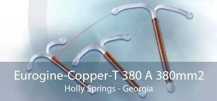 Eurogine-Copper-T 380 A 380mm2 Holly Springs - Georgia