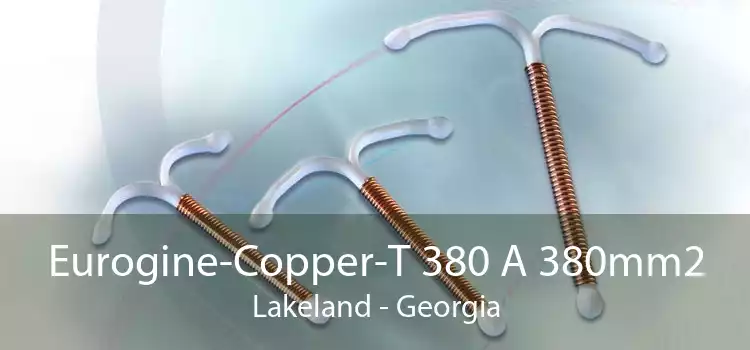 Eurogine-Copper-T 380 A 380mm2 Lakeland - Georgia