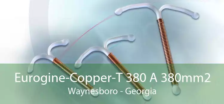 Eurogine-Copper-T 380 A 380mm2 Waynesboro - Georgia