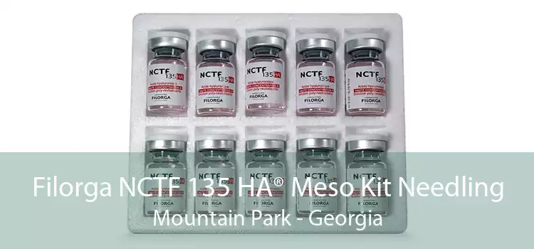Filorga NCTF 135 HA® Meso Kit Needling Mountain Park - Georgia