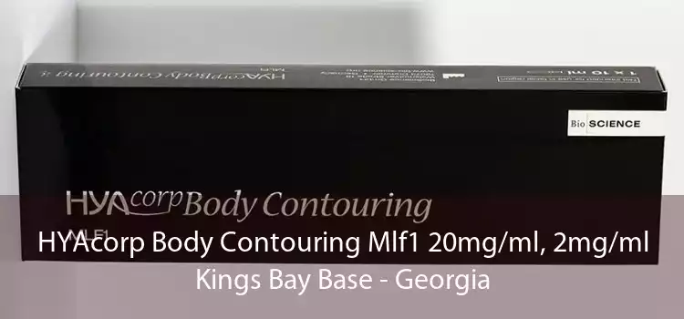 HYAcorp Body Contouring Mlf1 20mg/ml, 2mg/ml Kings Bay Base - Georgia